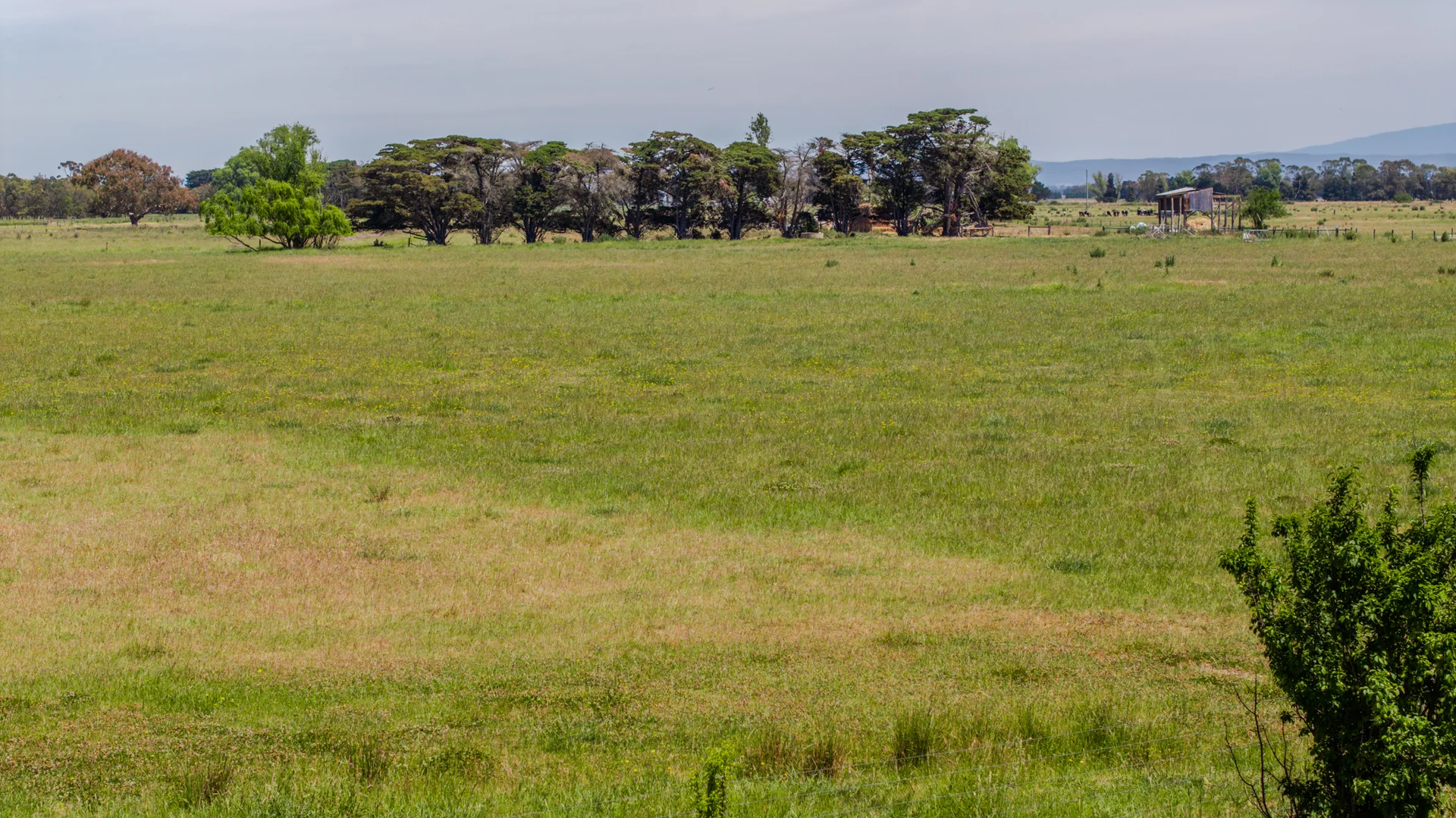Additional image 5 of 213 Killeens Road, Nambrok VIC 3847