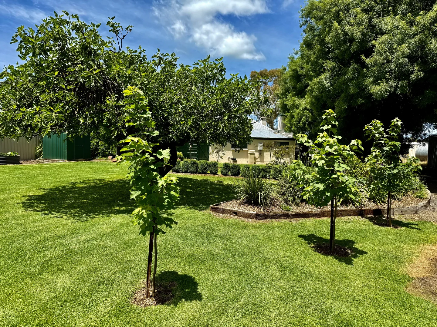 Additional image 19 of 1 Riddoch, Penola SA 5277