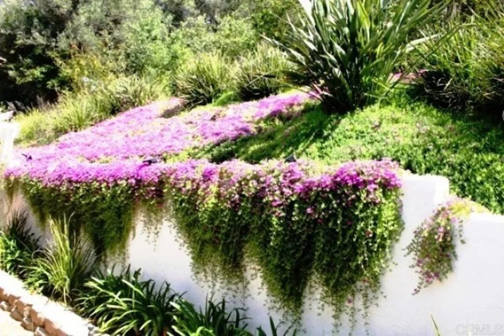 Additional image 9 of 1879 Fox Bridge CT., Fallbrook, CA 92028