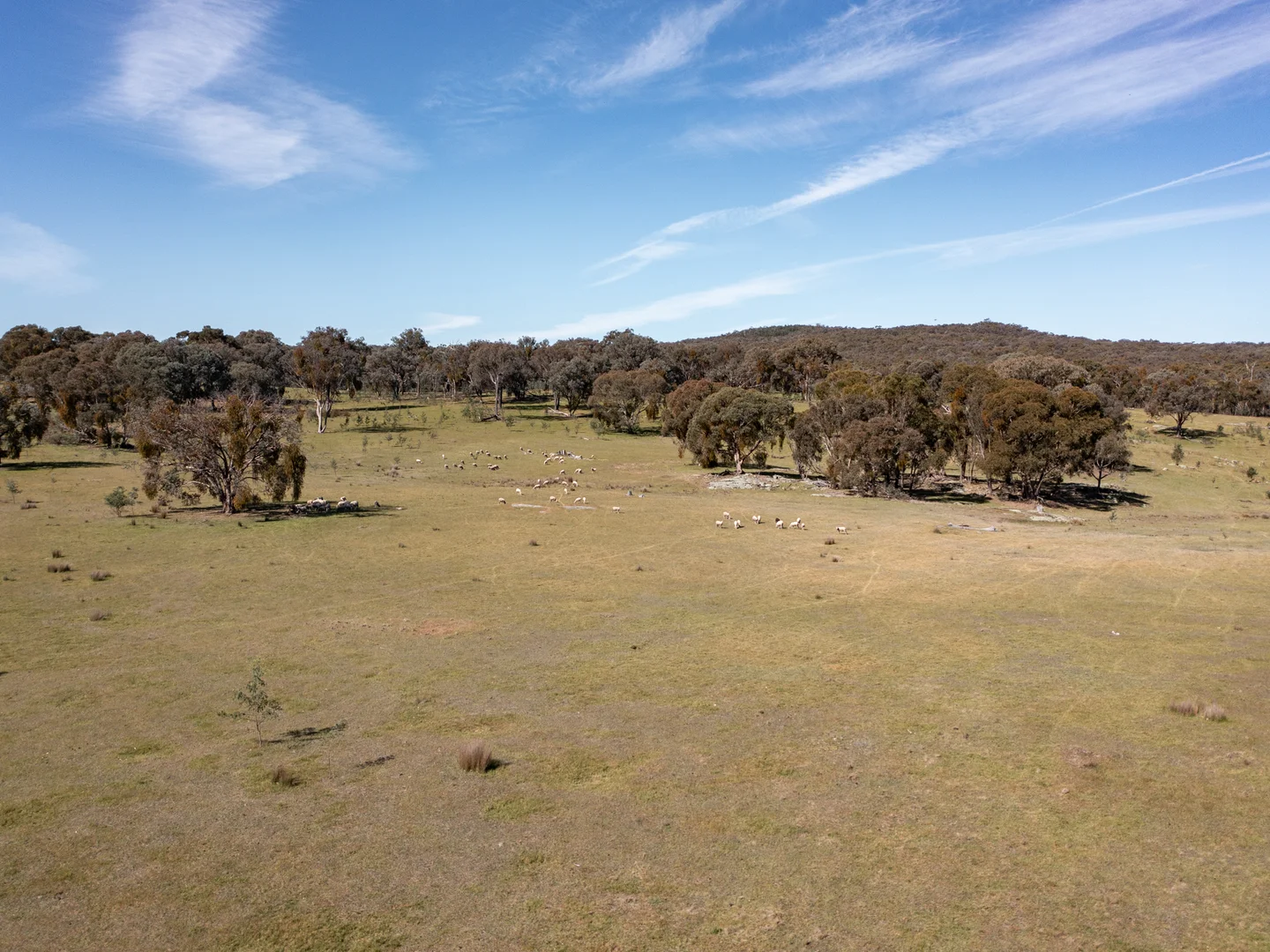 Additional image 8 of 3/7 East Triangle Road, Byawatha VIC 3678