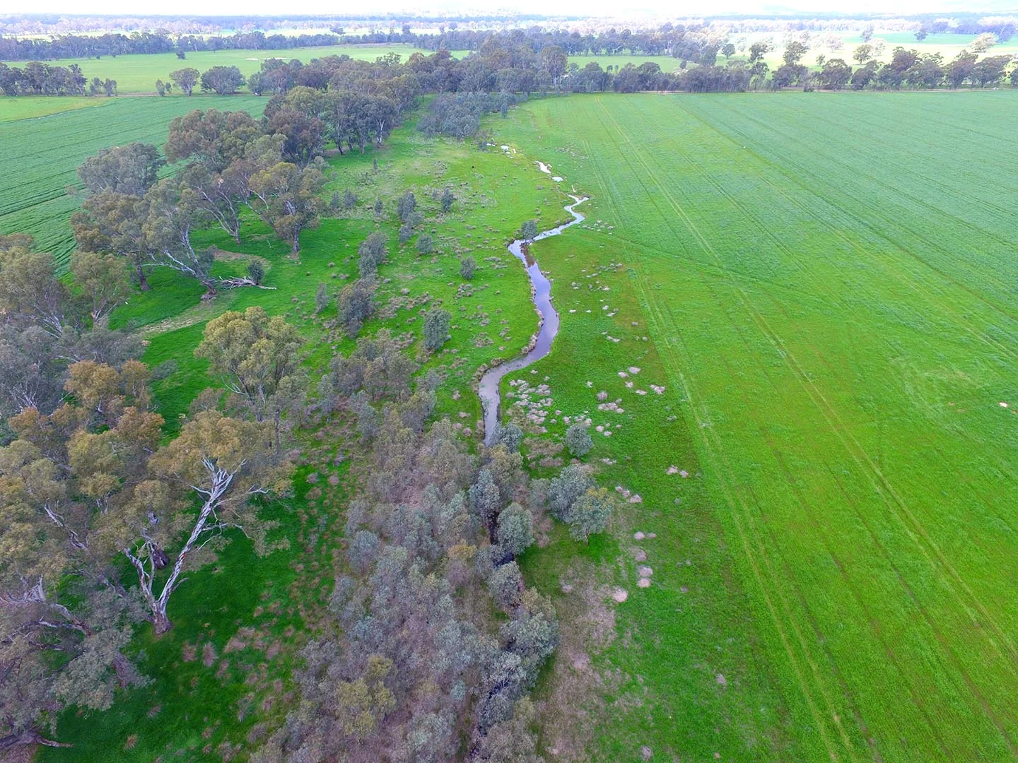 Additional image 7 of 1241 Drysdale Road, Pranjip VIC 3666