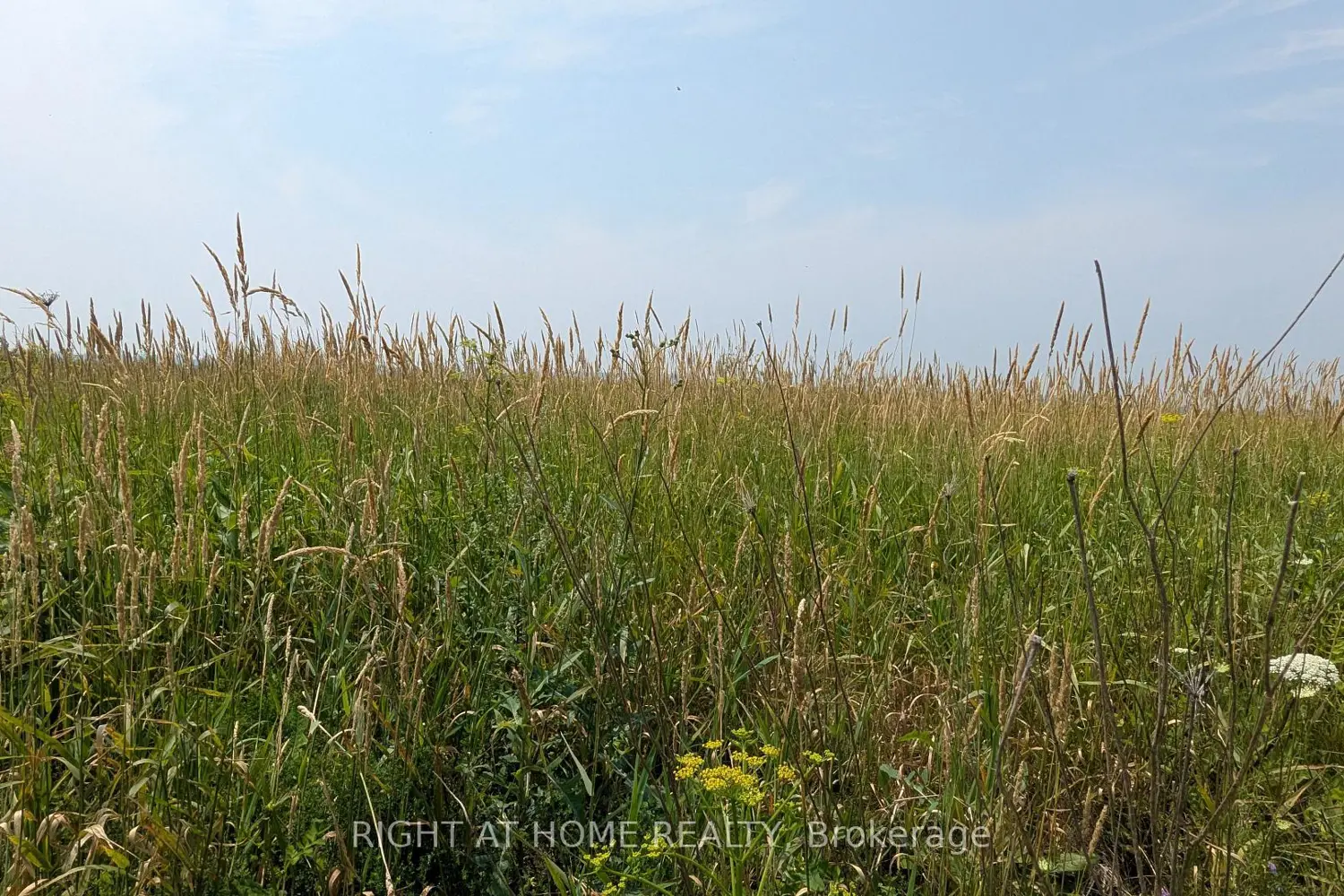 3266 Sarsfield Road photo 4