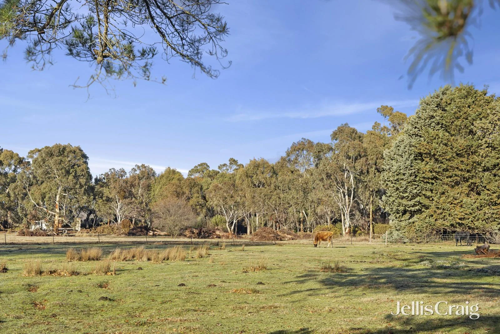 Additional image 11 of 1585 Calder Highway, Taradale VIC 3447