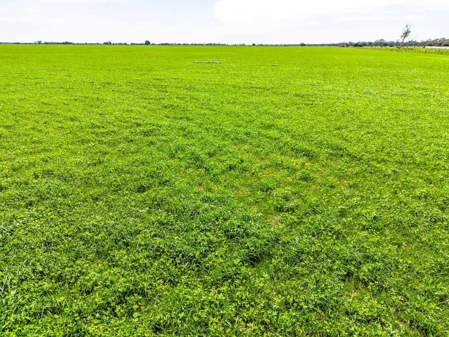 Additional image 17 of 641 Minnie Crowe Road, Avenue Range SA 5273