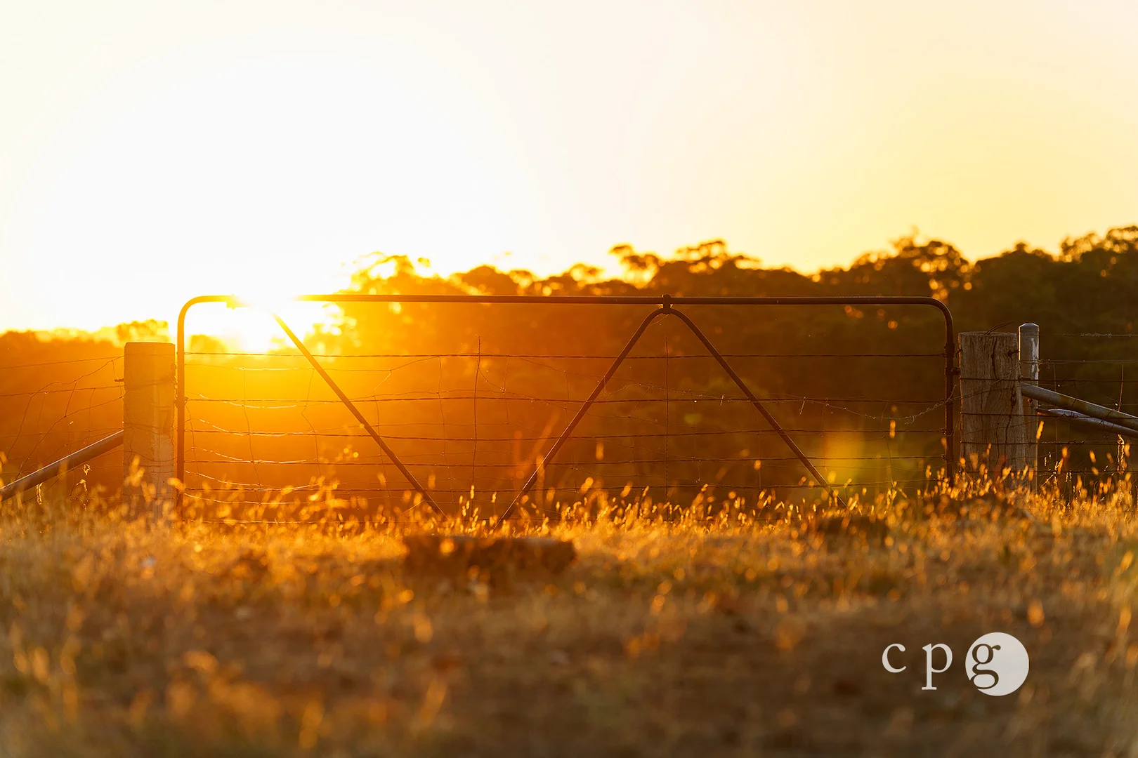 Additional image 6 of 221 Rodborough Road, Joyces Creek VIC 3364