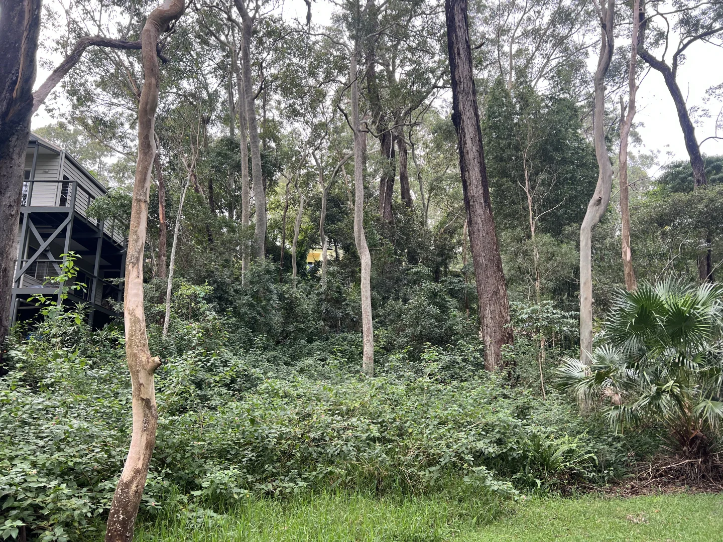 Additional image 2 of 54/127 Amaroo Drive, Smiths Lake NSW 2428