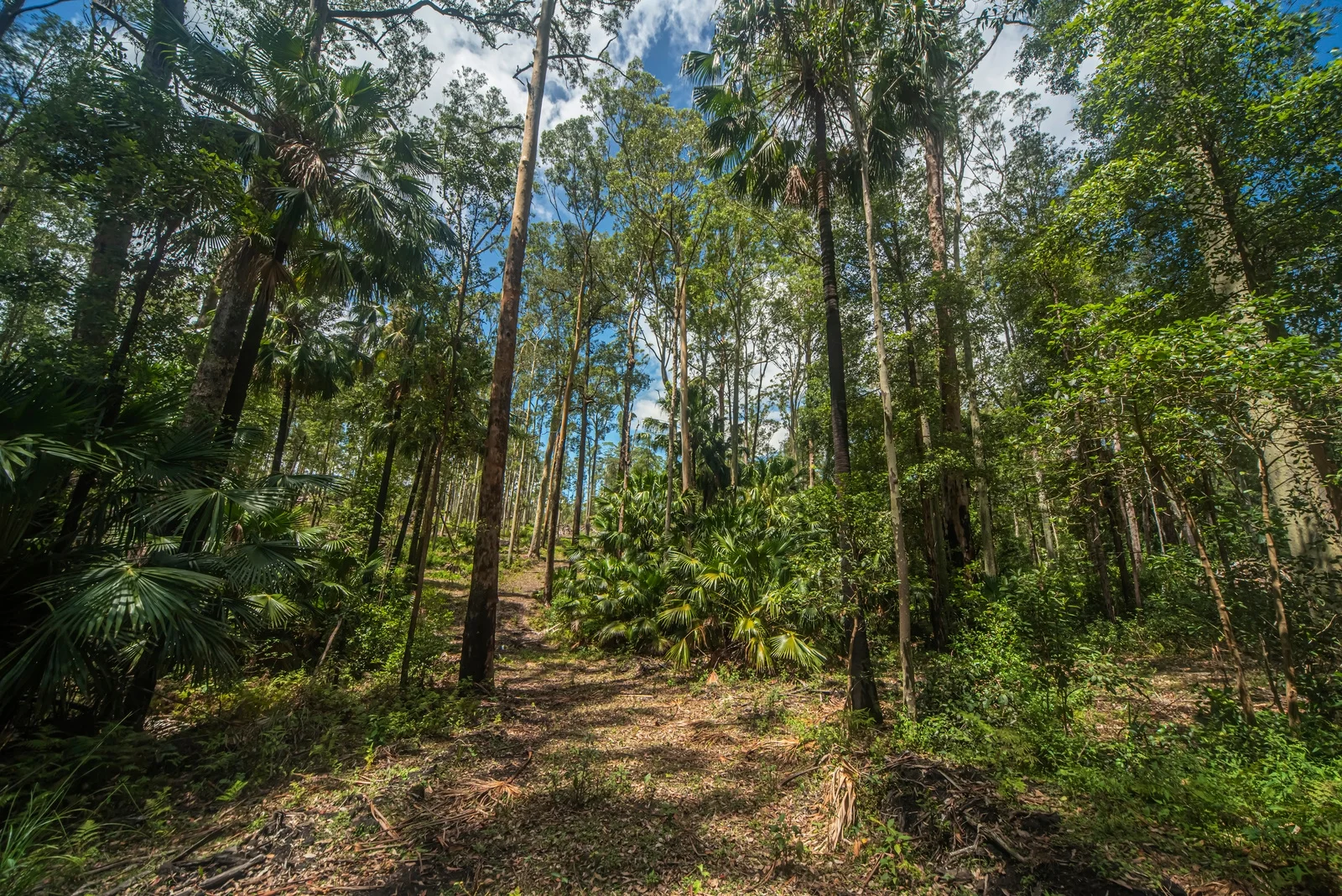 Additional image 20 of 42 Turpentine Road, Tomerong NSW 2540