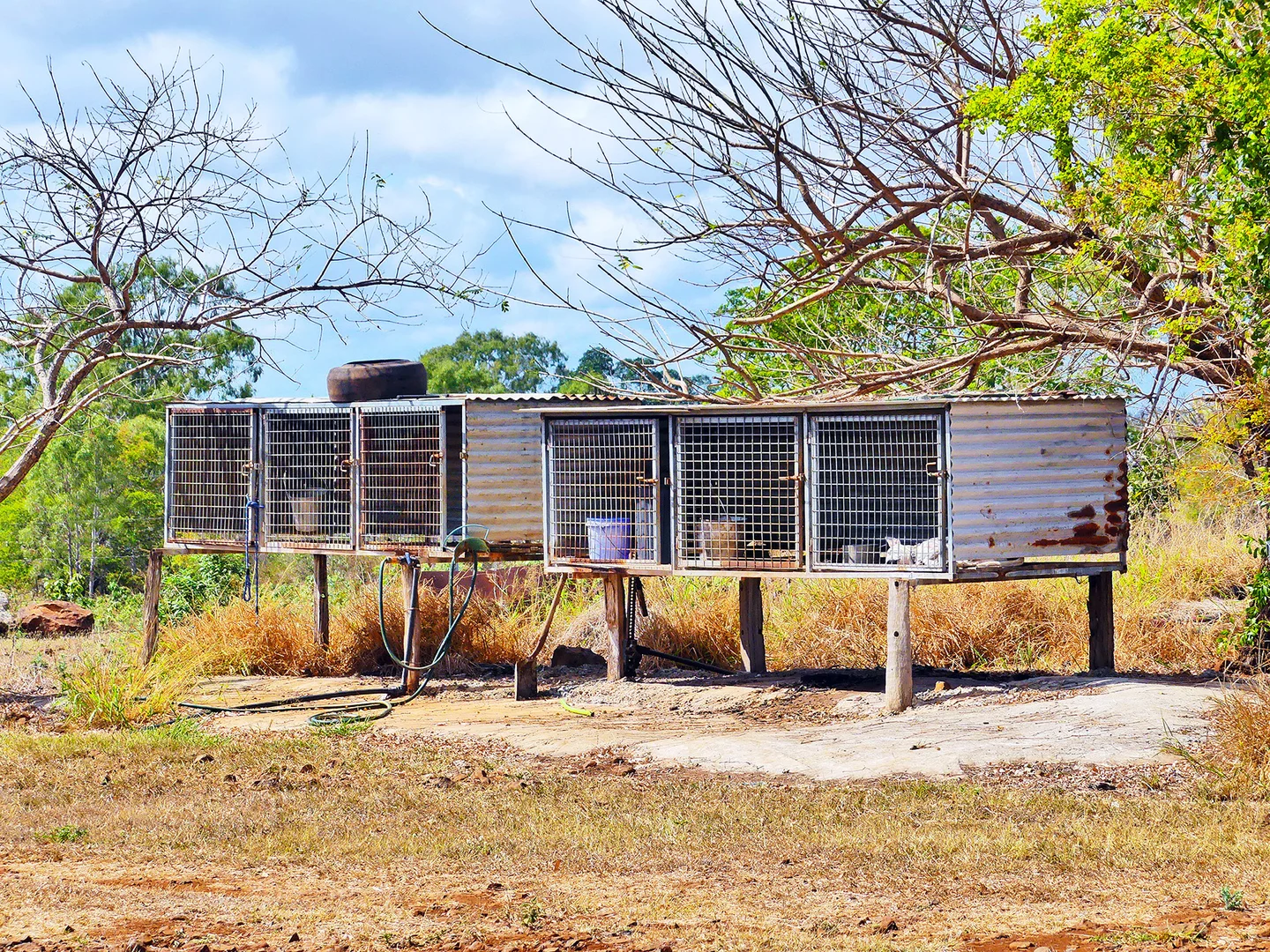 Additional image 22 of 260 Shannen Road, Dalma QLD 4702