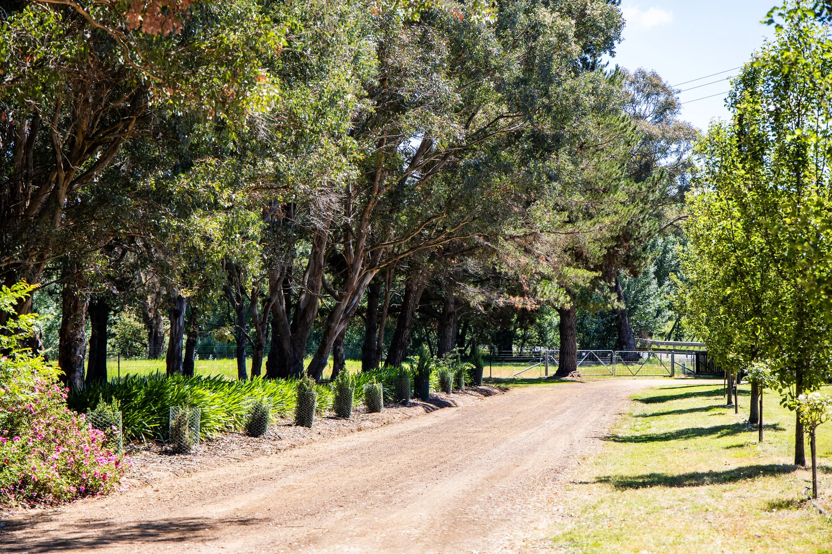 Additional image 3 of 2775 Barton Highway, Murrumbateman NSW 2582