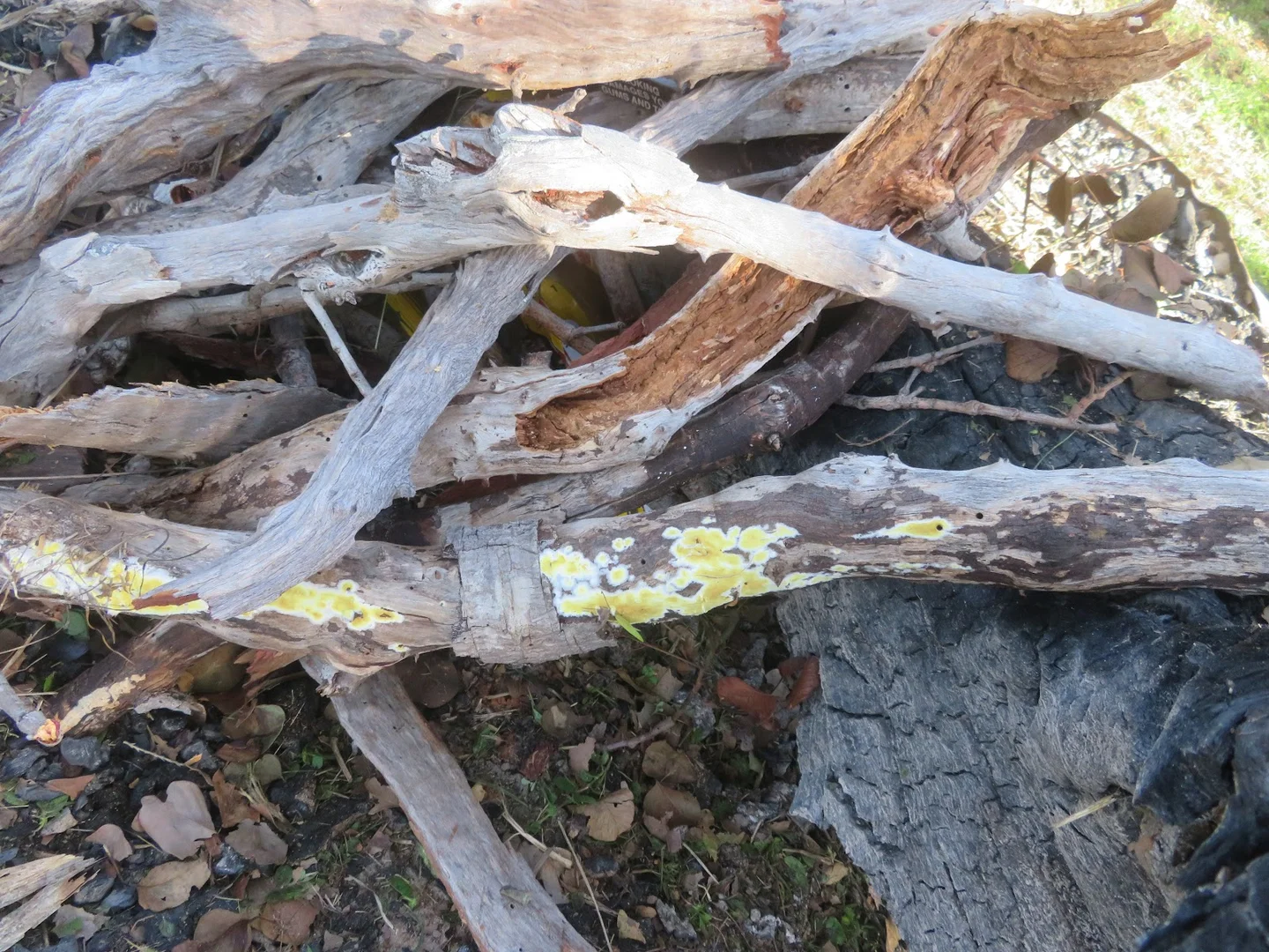 Additional image 17 of 2 Bolwarra Road, Chillagoe QLD 4871