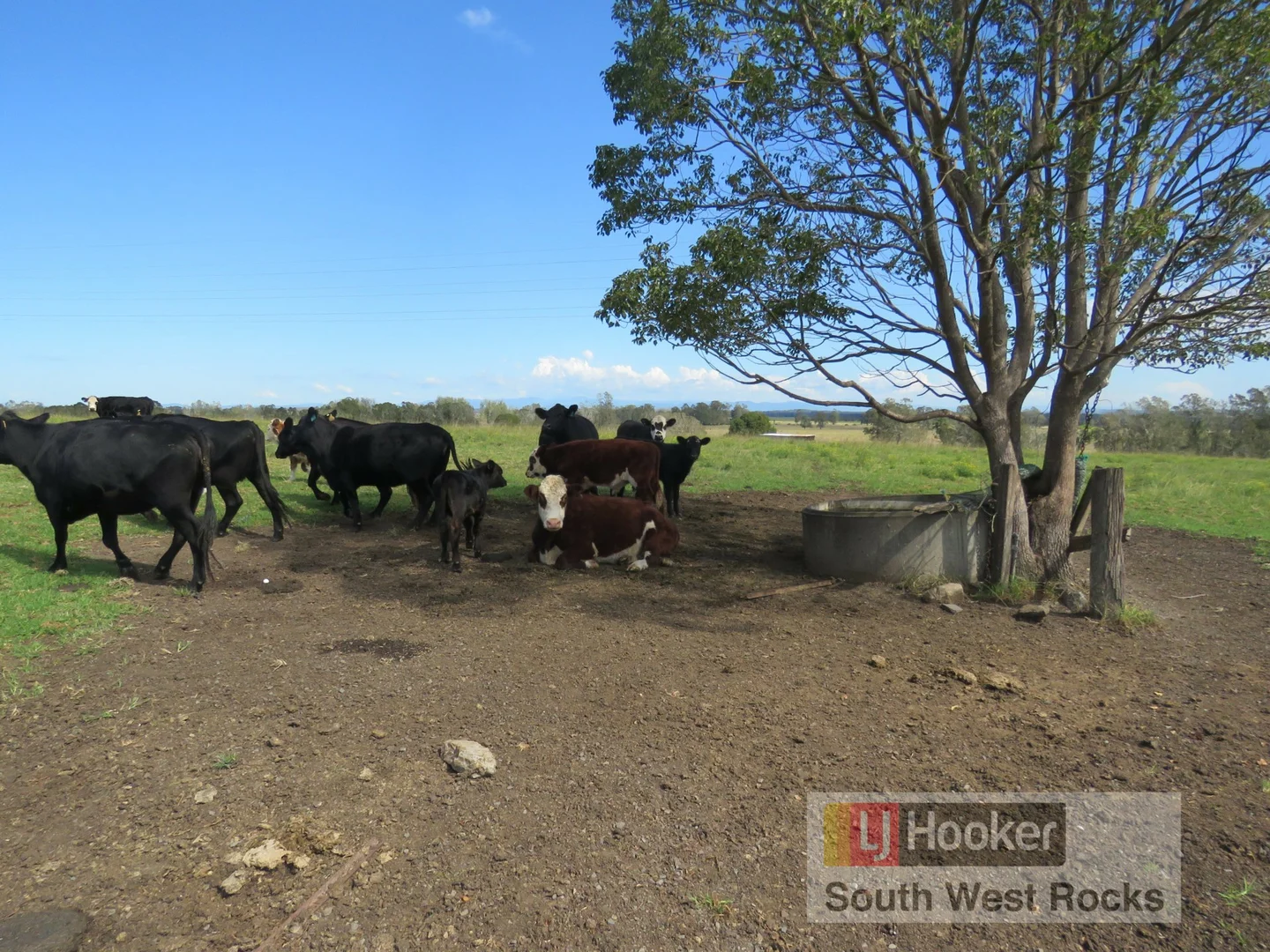 Additional image 37 of 2149 Macleay Valley Way, Clybucca NSW 2440