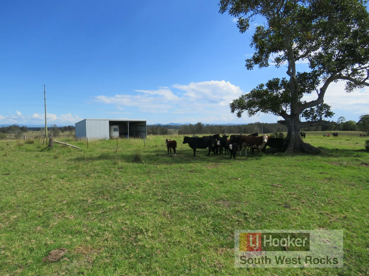 Additional image 39 of 2149 Macleay Valley Way, Clybucca NSW 2440