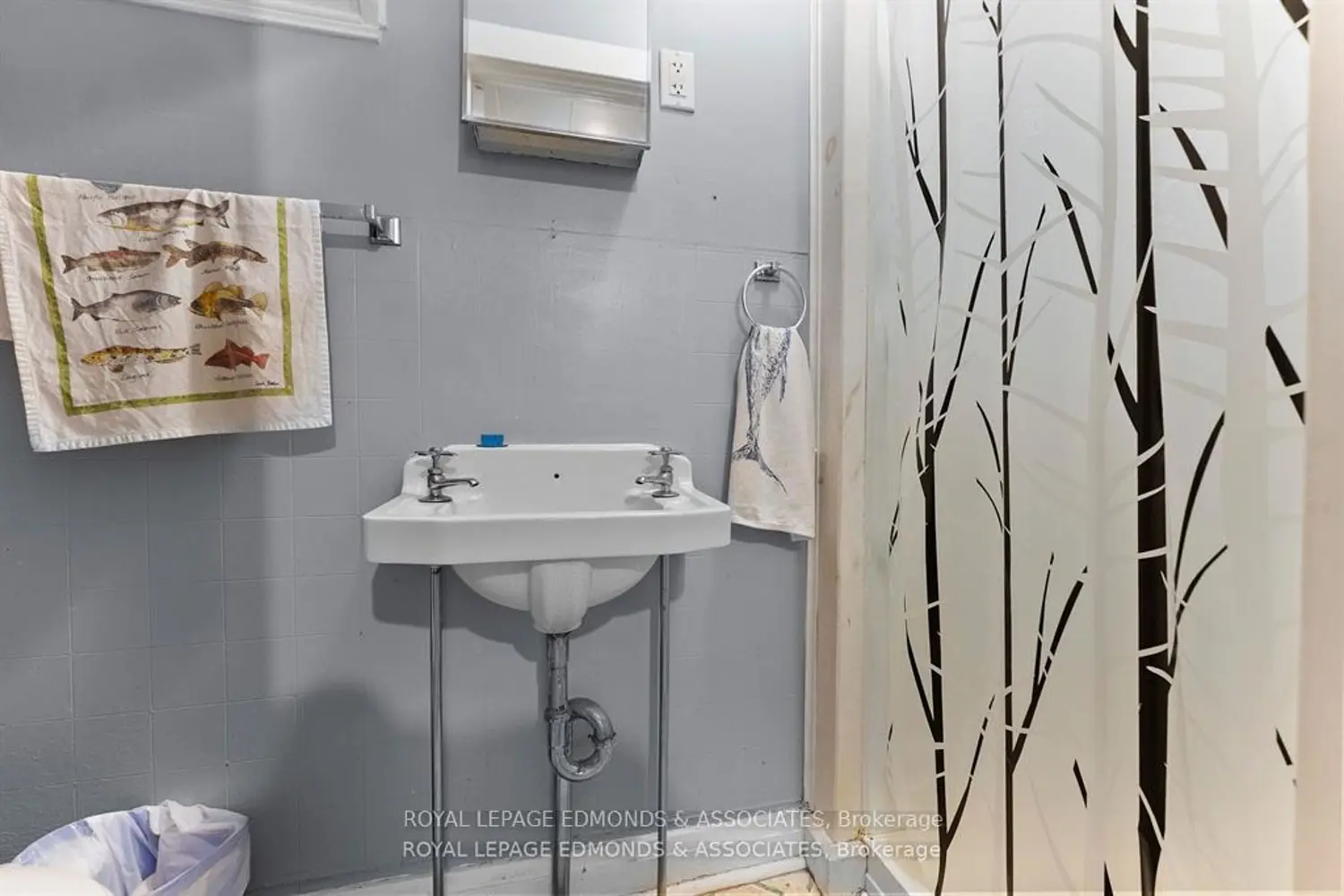 Additional image 17 of 7 Isabella Street