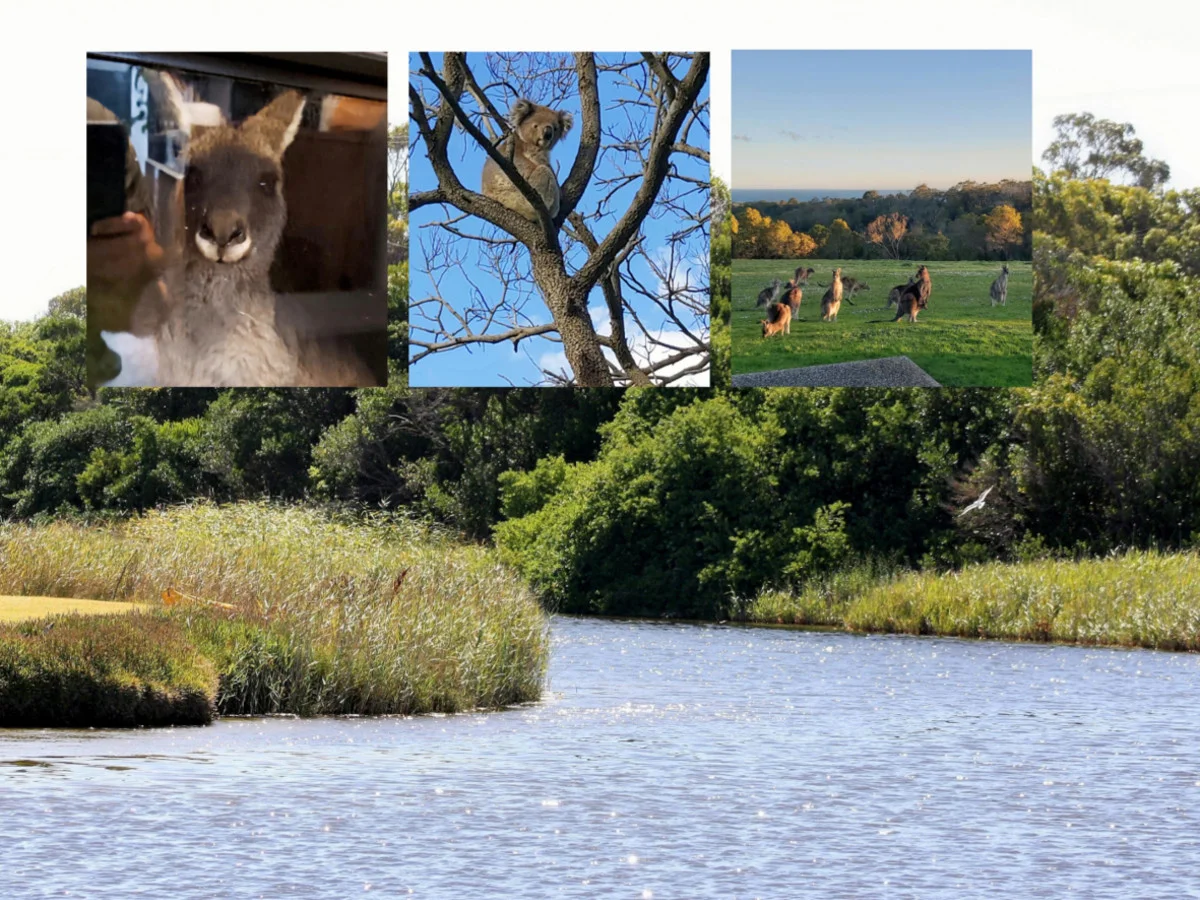 Additional image 34 of 154 Blackers Road, Narrawong VIC 3285