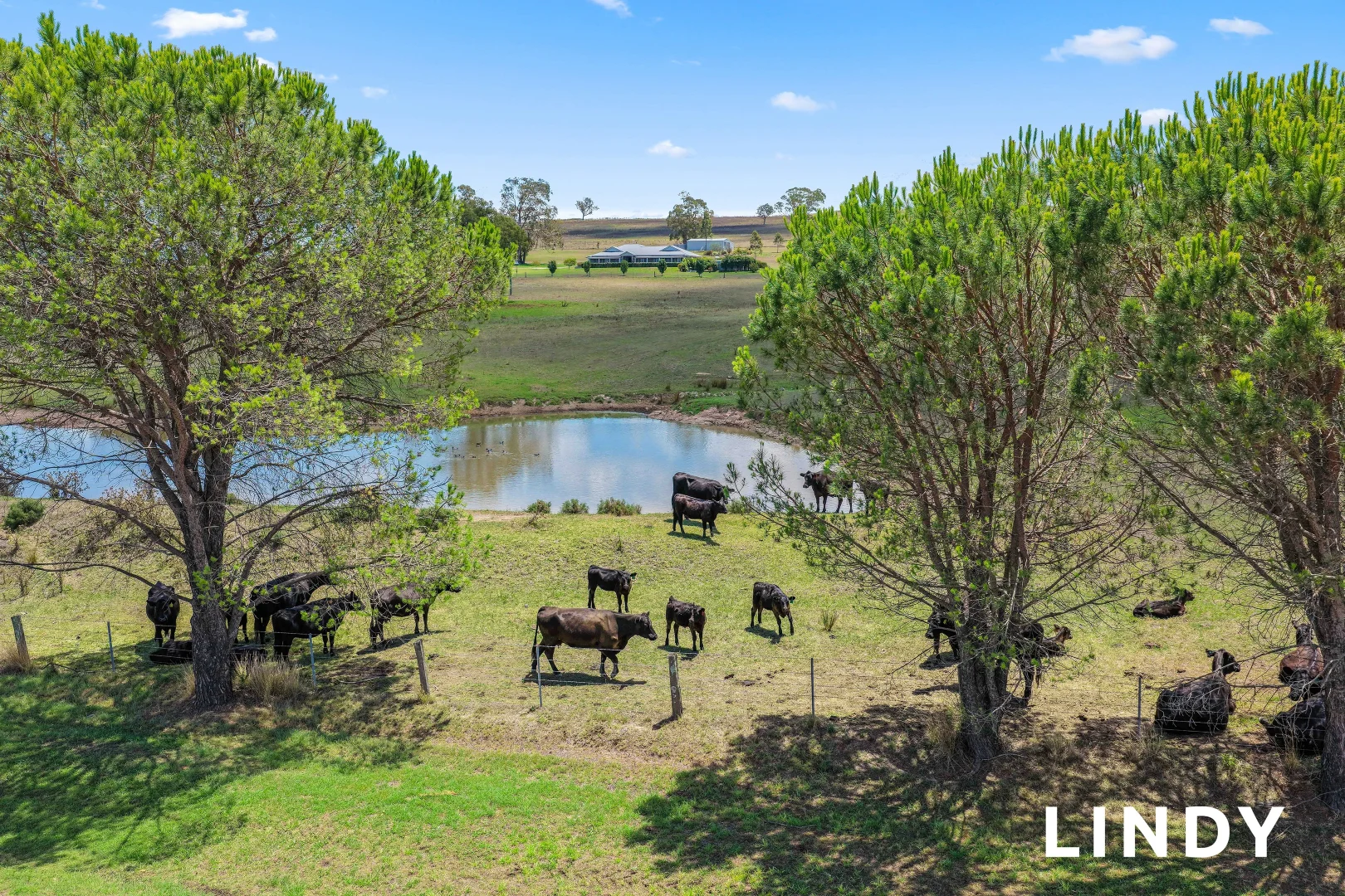 Additional image 19 of 218 Goorangoola Road, Singleton NSW 2330