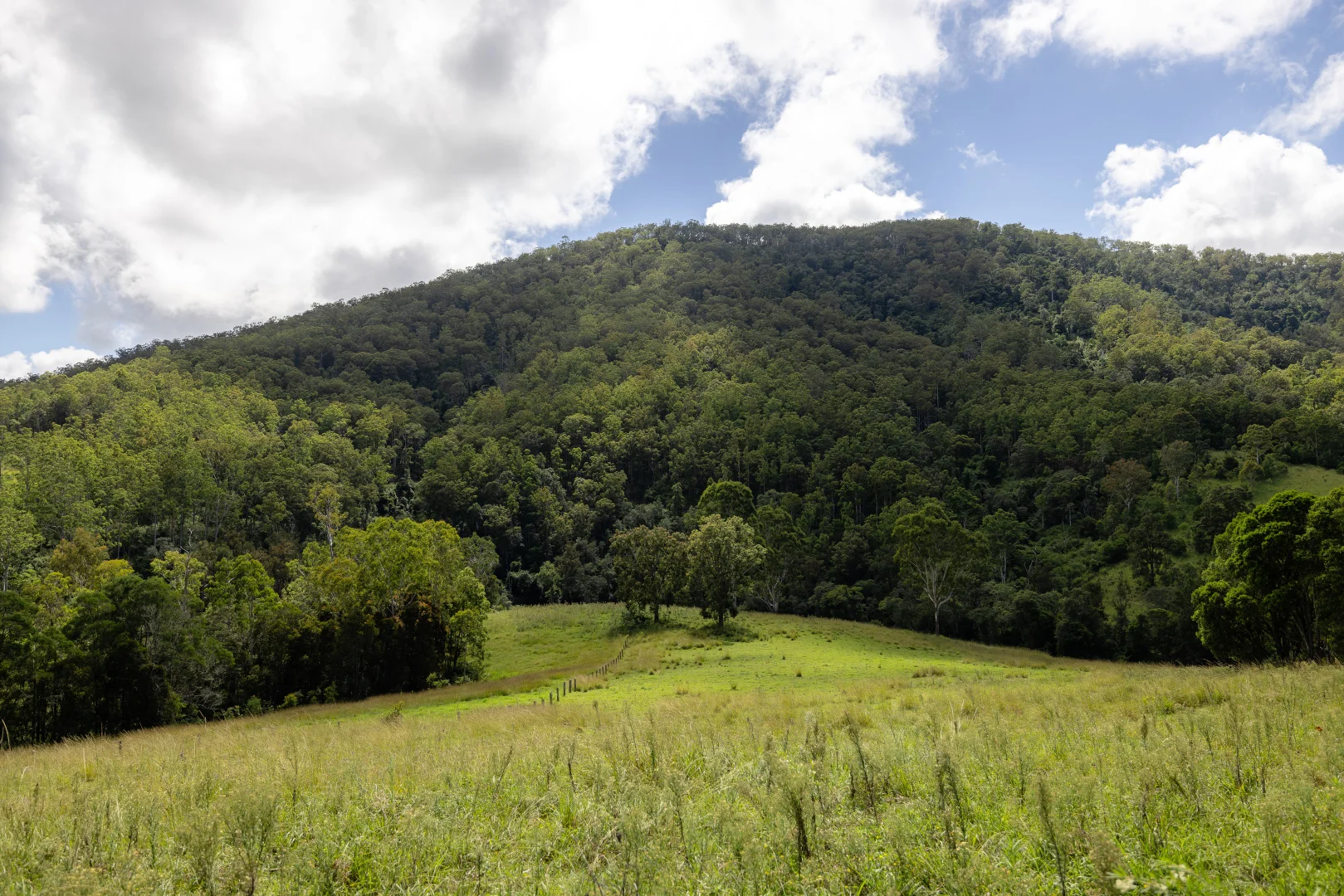 Additional image 27 of 382 Norwood Lane, Mount George NSW 2424