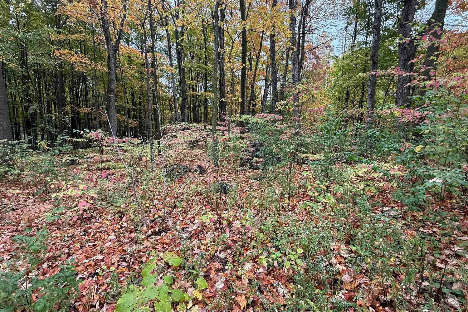 Additional image 14 of Lot 8 Green Acres Road