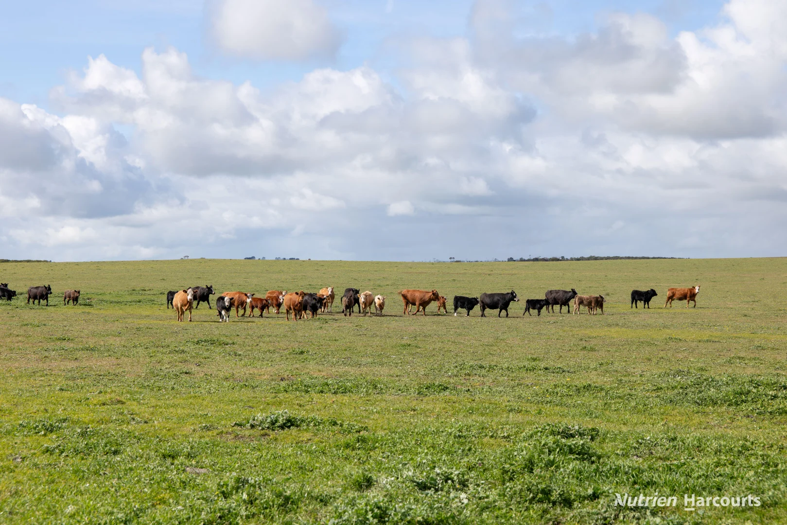 Additional image 11 of 1463 Savage Road, Neridup WA 6450