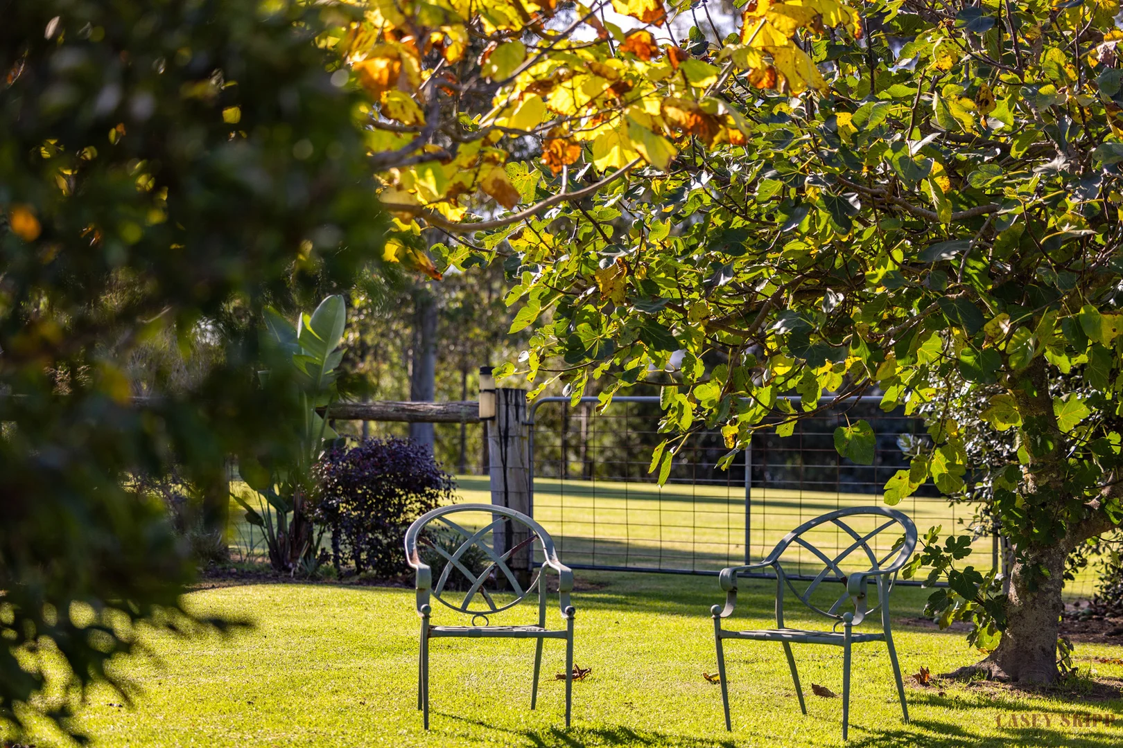 Additional image 19 of 9 Punt Road, Johnsonville VIC 3902