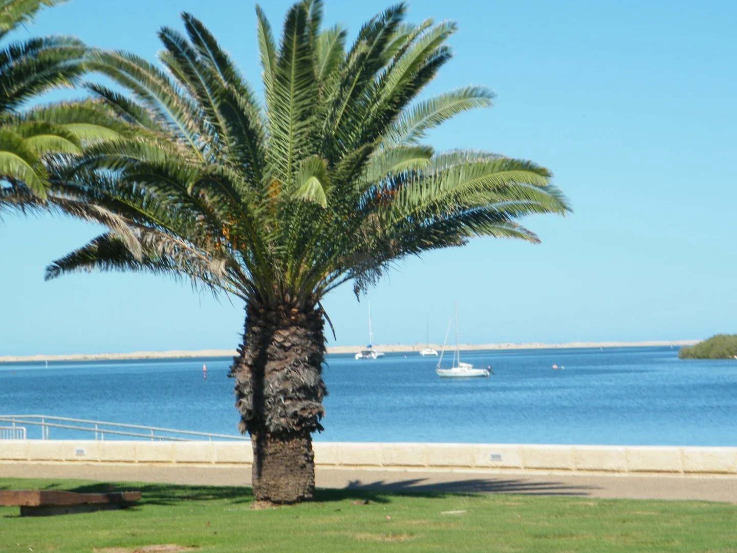 111 Olivia Terrace, South Carnarvon WA 6701