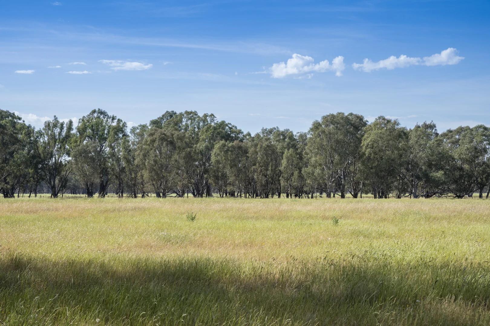 Additional image 5 of CA29A Baddaginnie-Benalla Road, Baddaginnie VIC 3670