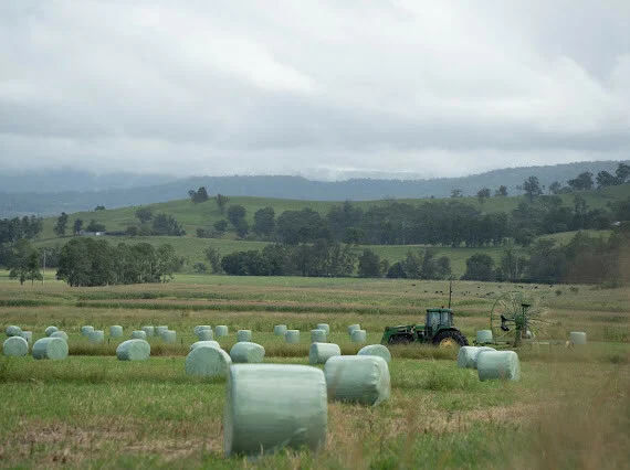 Additional image 23 of 119 Duck Creek Road, Old Bonalbo NSW 2469