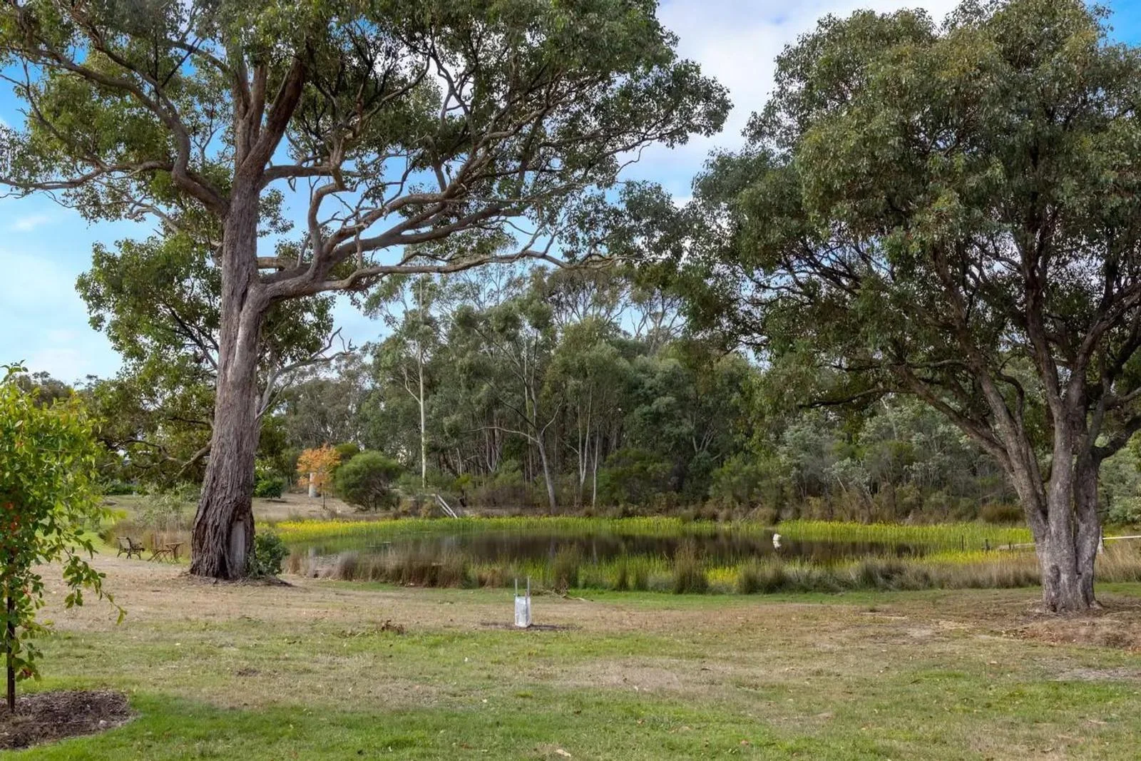 Additional image 8 of 265 Pudding Bag Road, Drummond VIC 3461