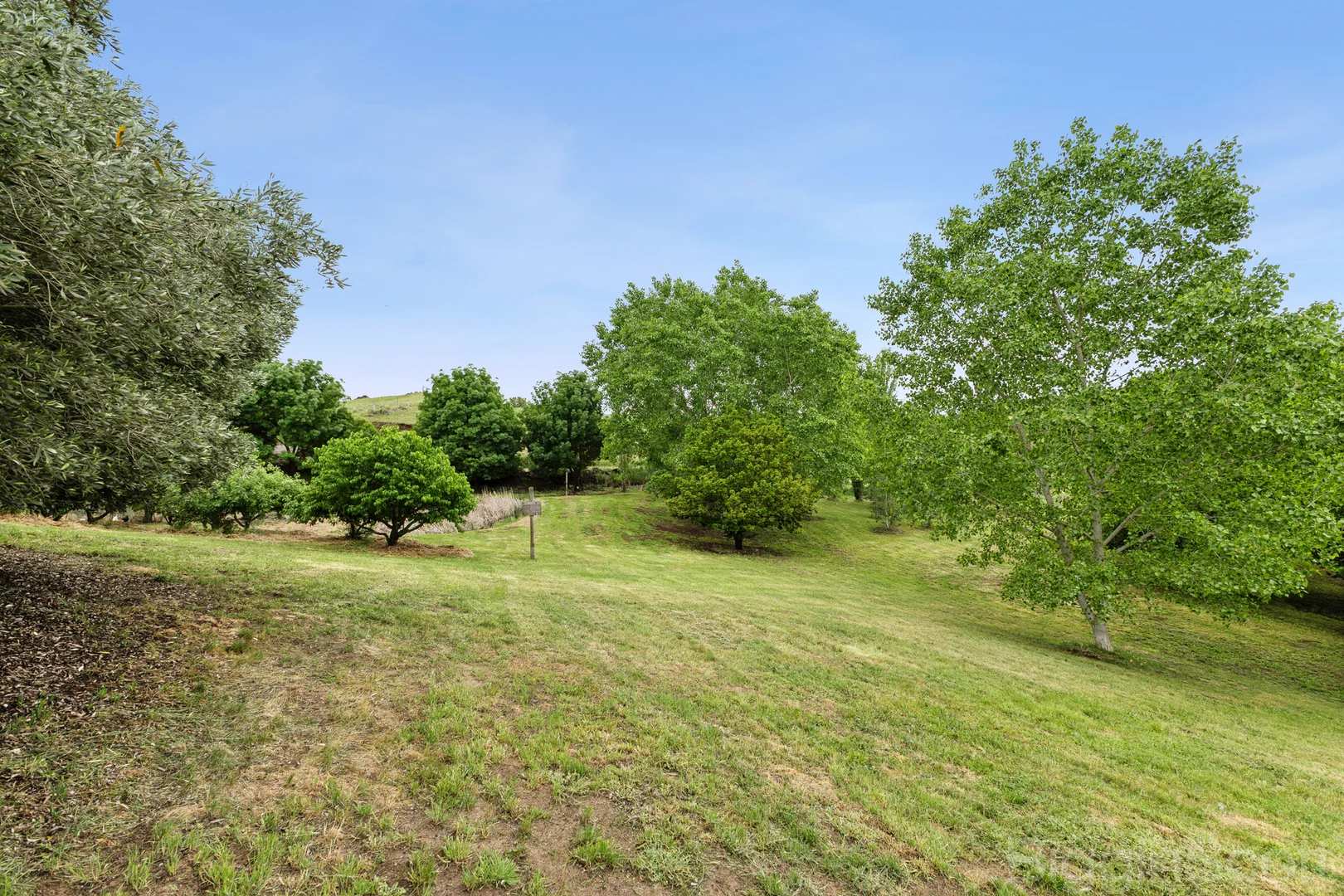 Additional image 19 of 185 Clunes Mt Cameron Road, Clunes VIC 3370