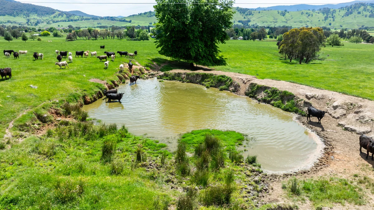 Additional image 18 of 4320 Kiewa Valley Highway, Dederang VIC 3691