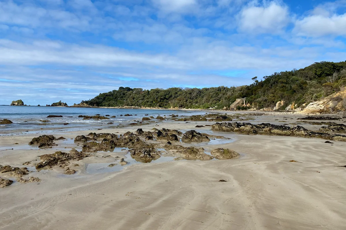 Additional image 29 of 109 Acacia Road, Walkerville VIC 3956