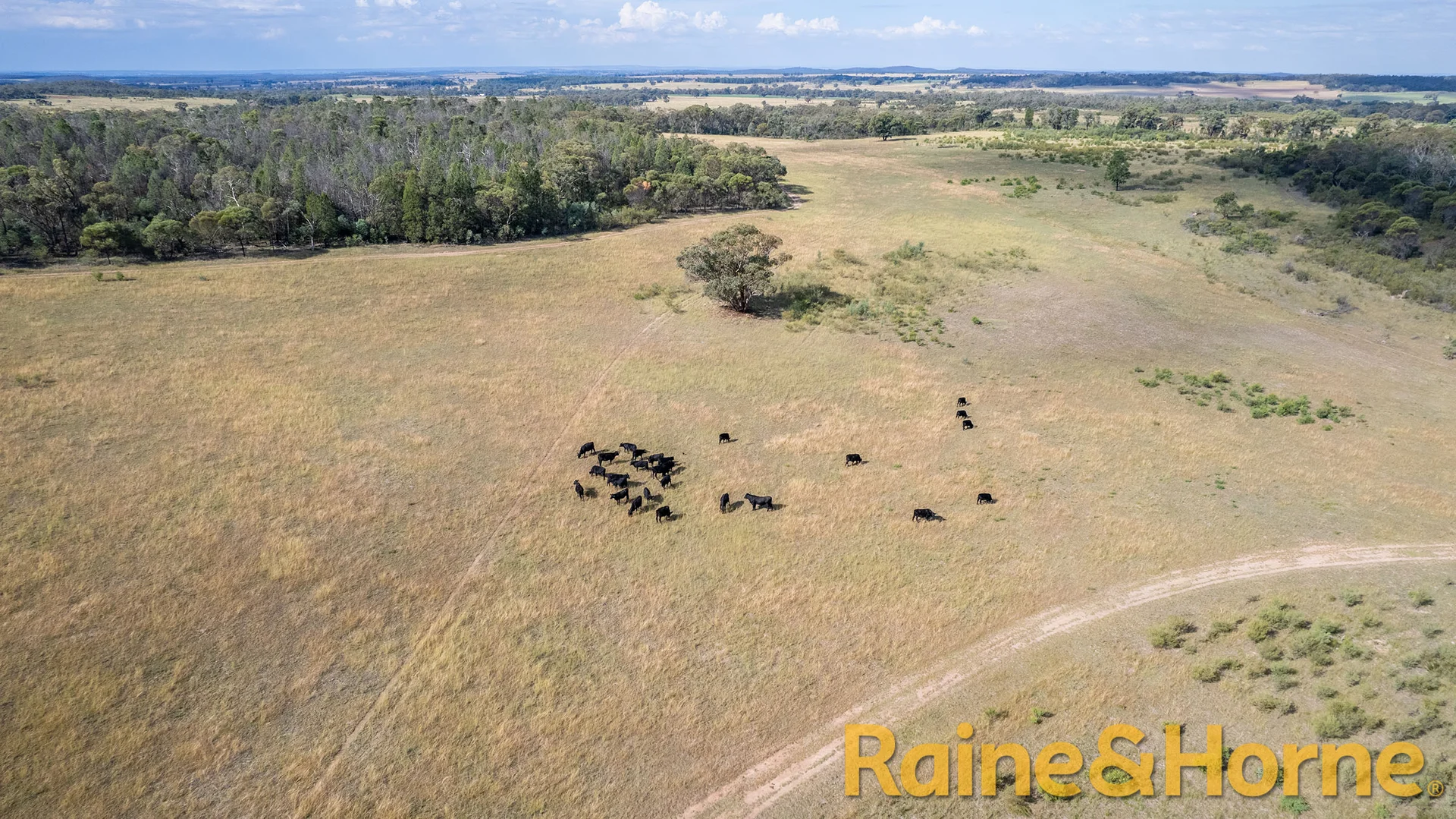 Additional image 19 of 235L Peak Hill Road, Dubbo NSW 2830