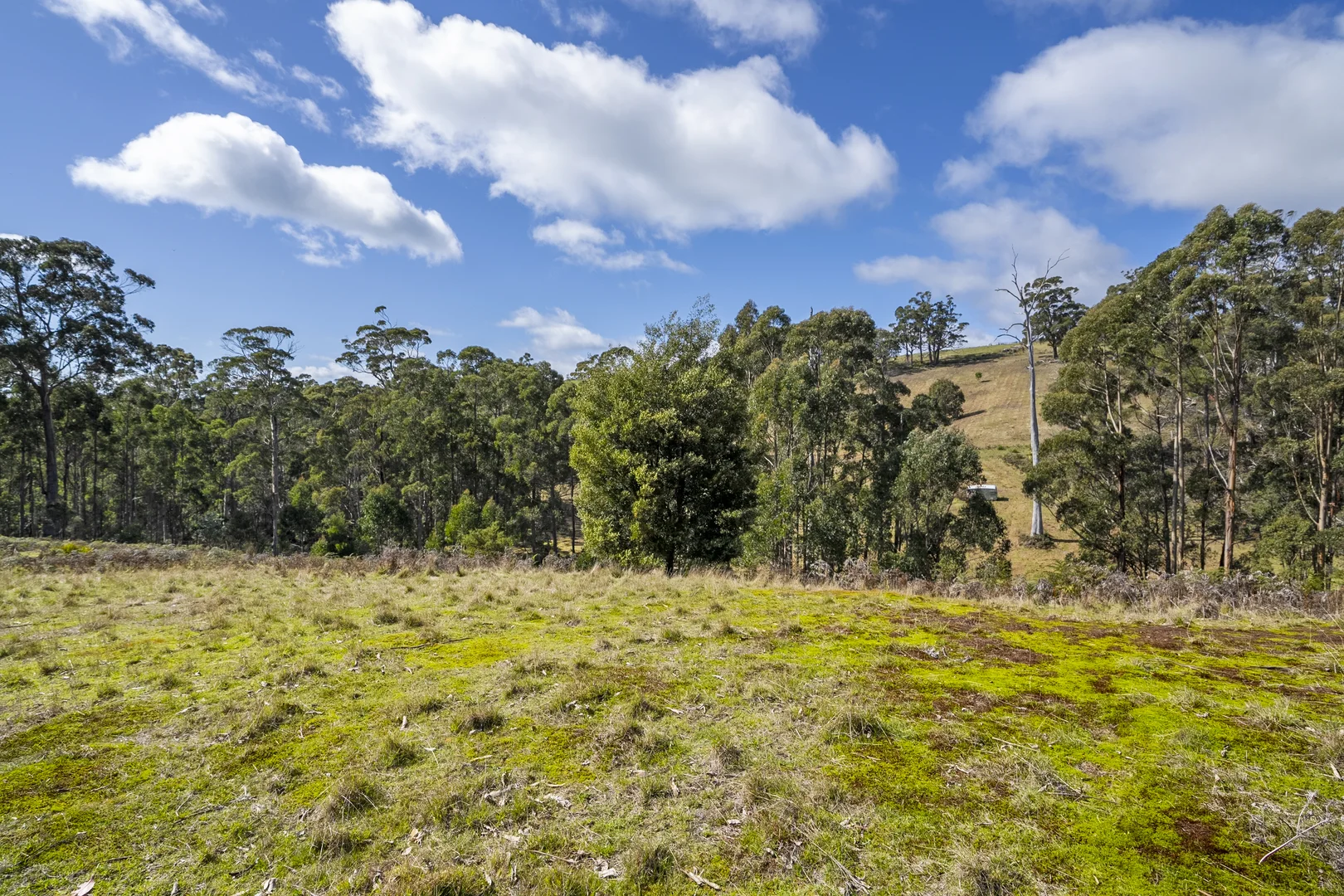 Additional image 30 of 129 Littles Road, Premaydena TAS 7185