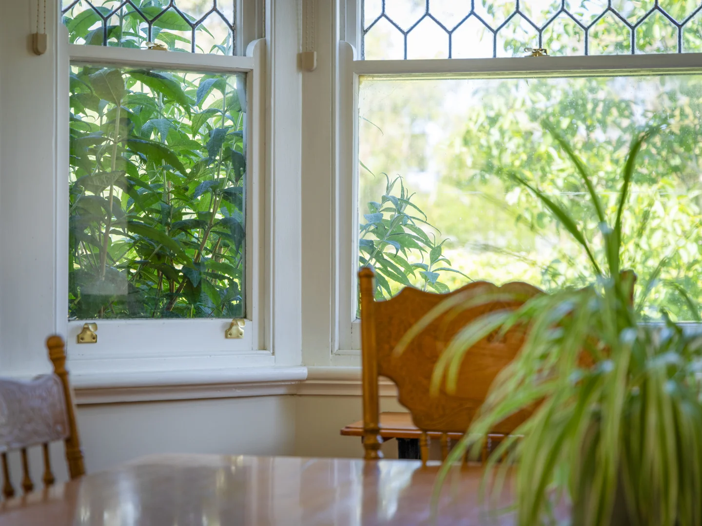 Additional image 18 of 64 Albert Road, Port Fairy VIC 3284