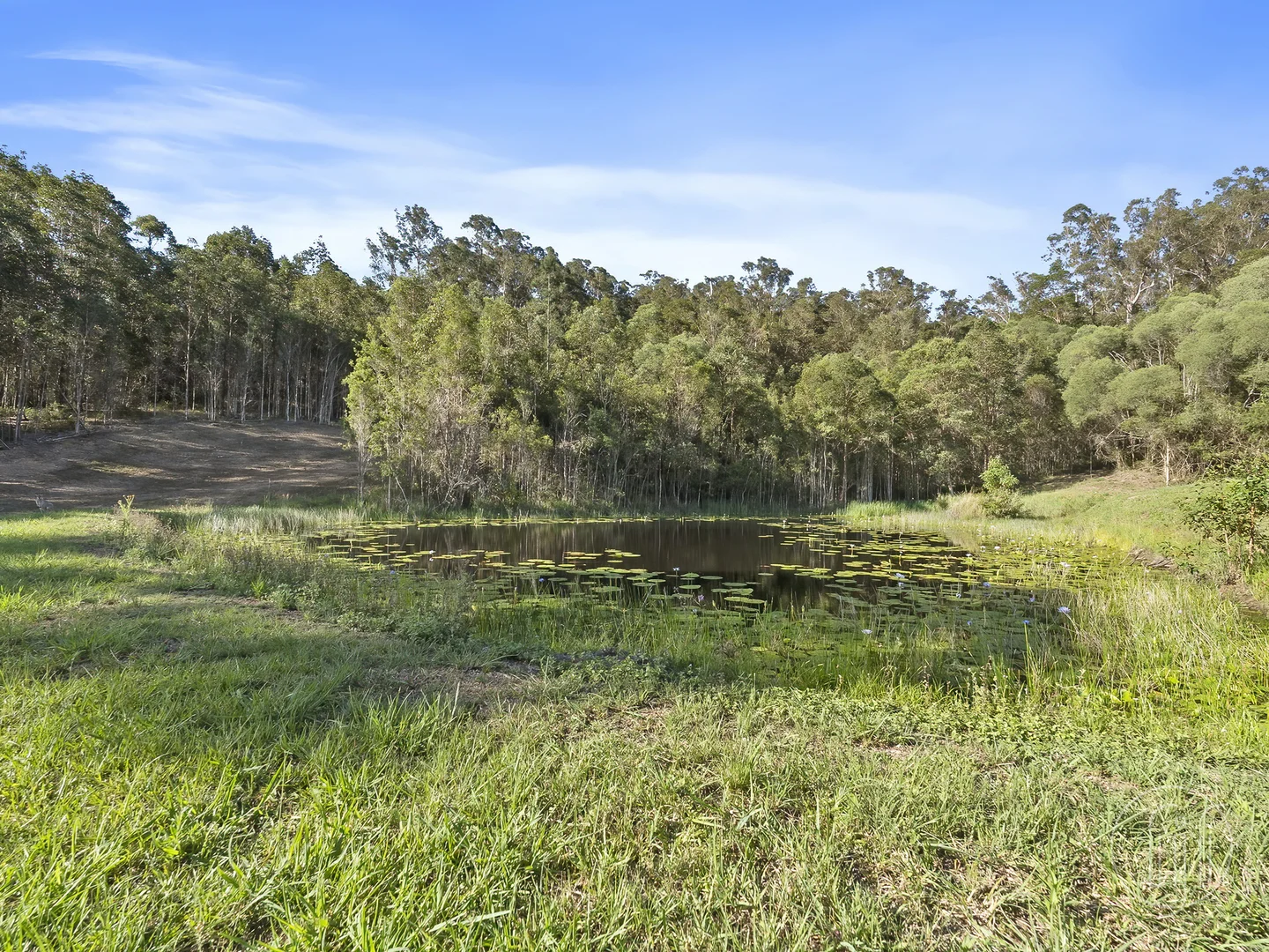 Additional image 24 of 299 Kidaman Creek Road, Kidaman Creek QLD 4574
