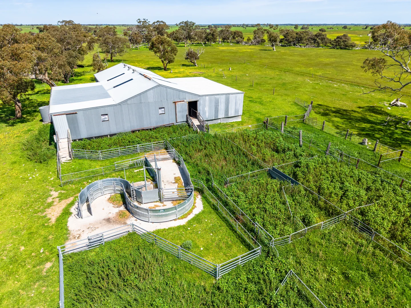 Additional image 26 of 641 Minnie Crowe Road, Avenue Range SA 5273