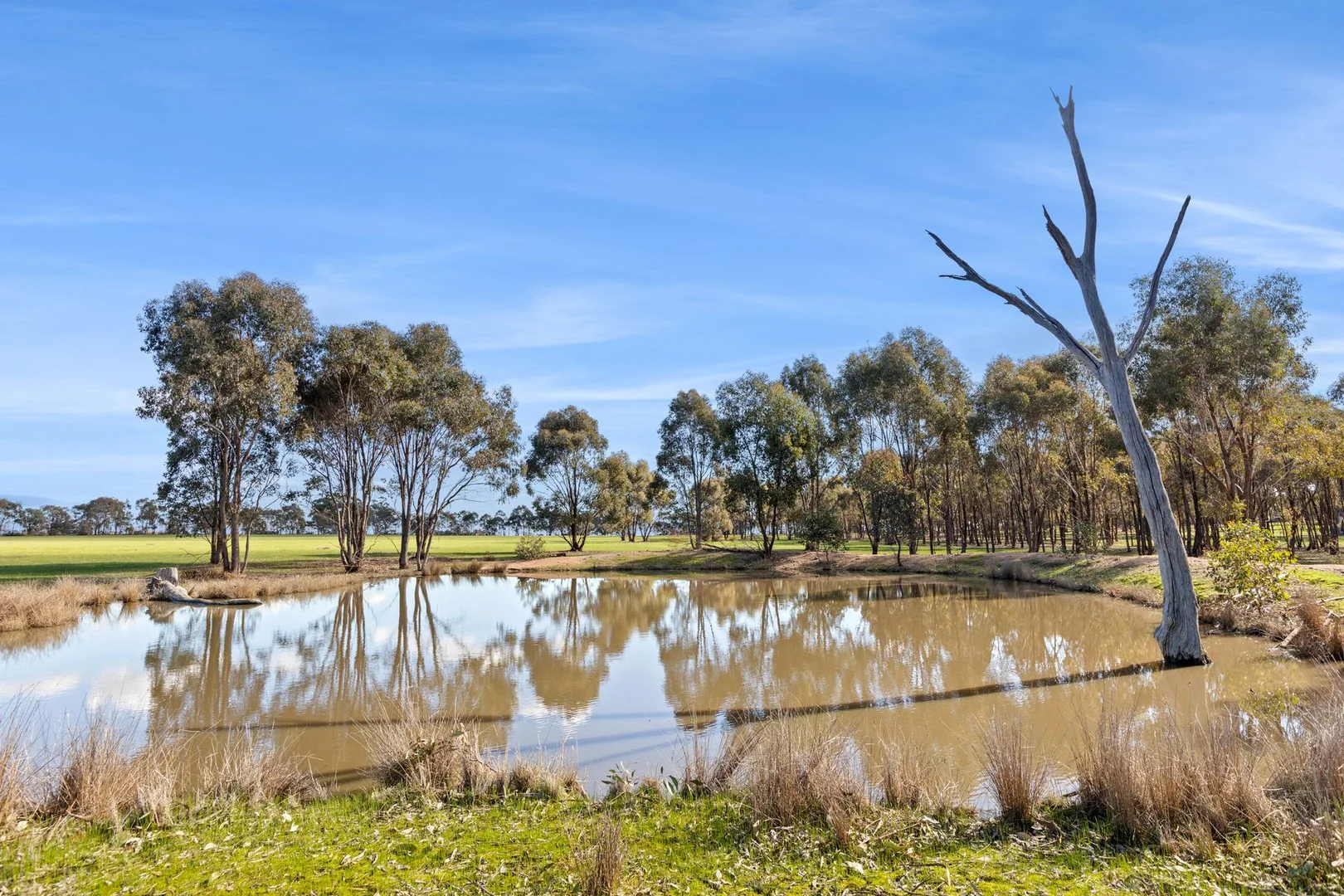 Additional image 3 of Lot 2B Bradford Road, Shelbourne VIC 3515