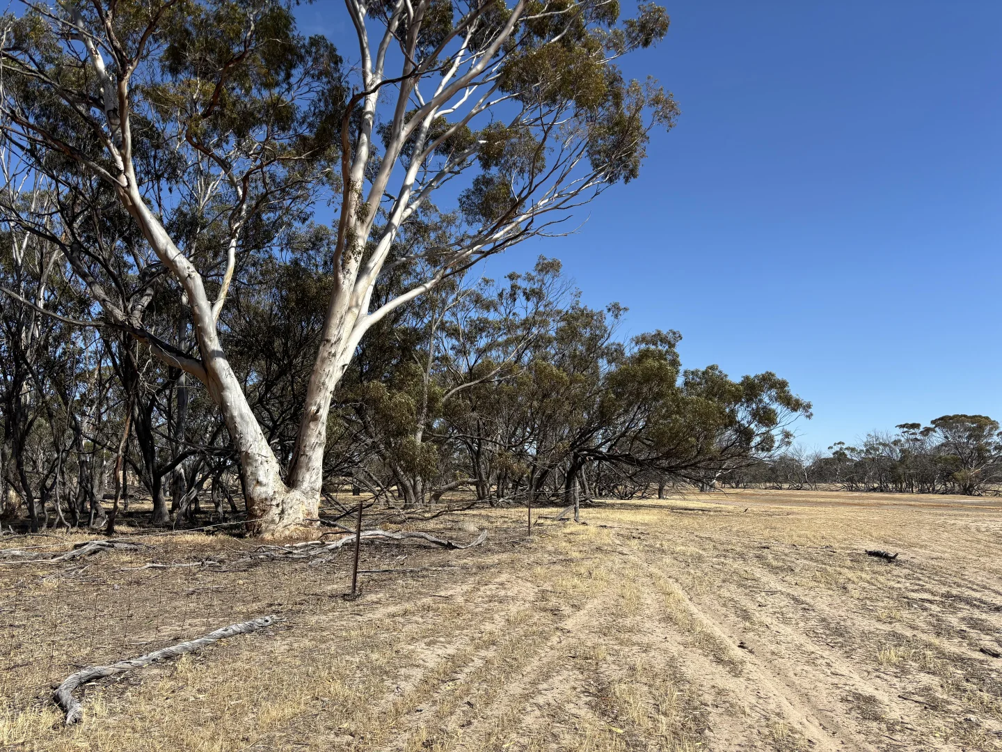 Additional image 9 of . 'Cobbers Soak', Quairading WA 6383