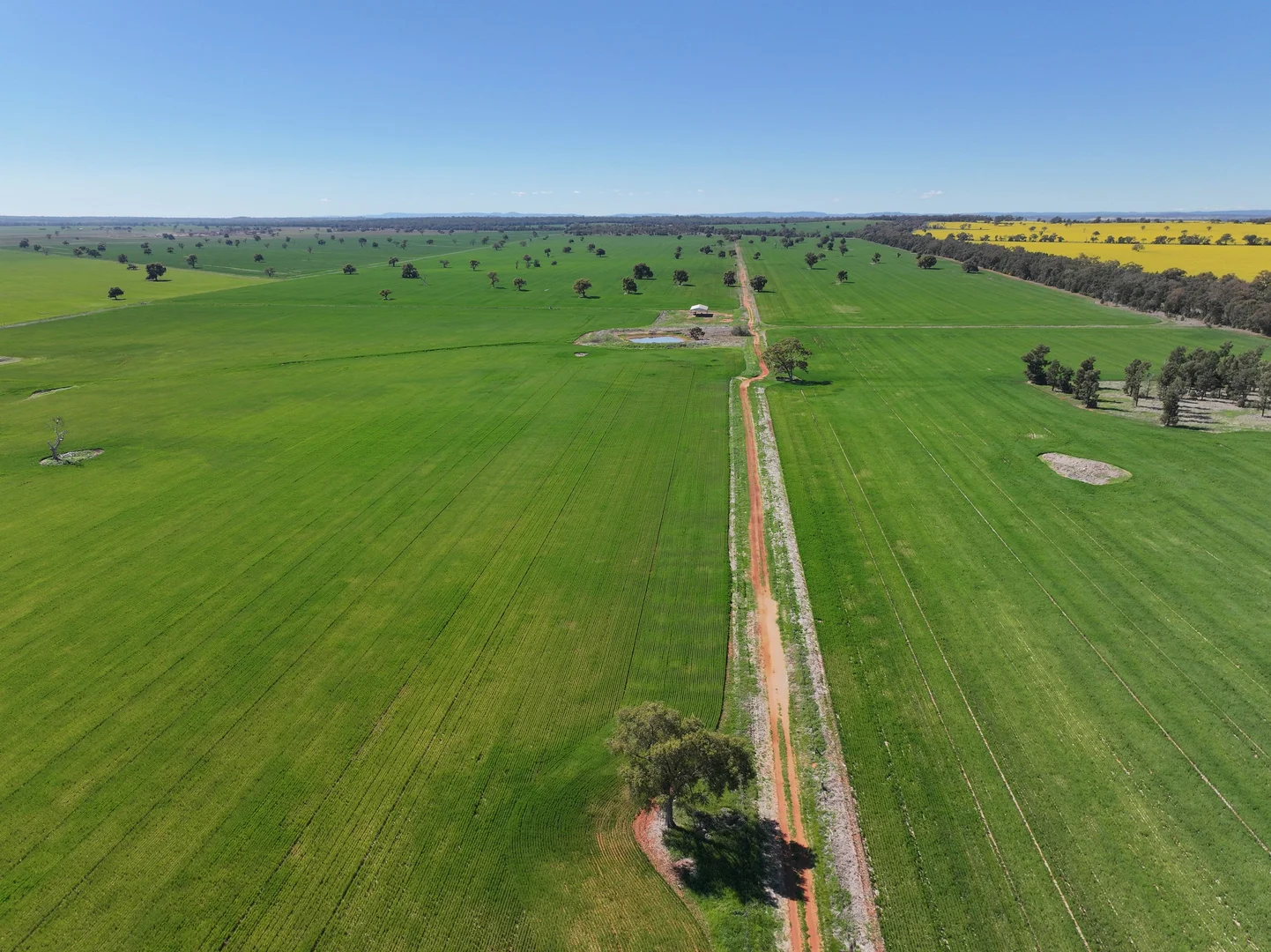 Additional image 27 of 2666 Henry Parkes Way, Gunningbland NSW 2876