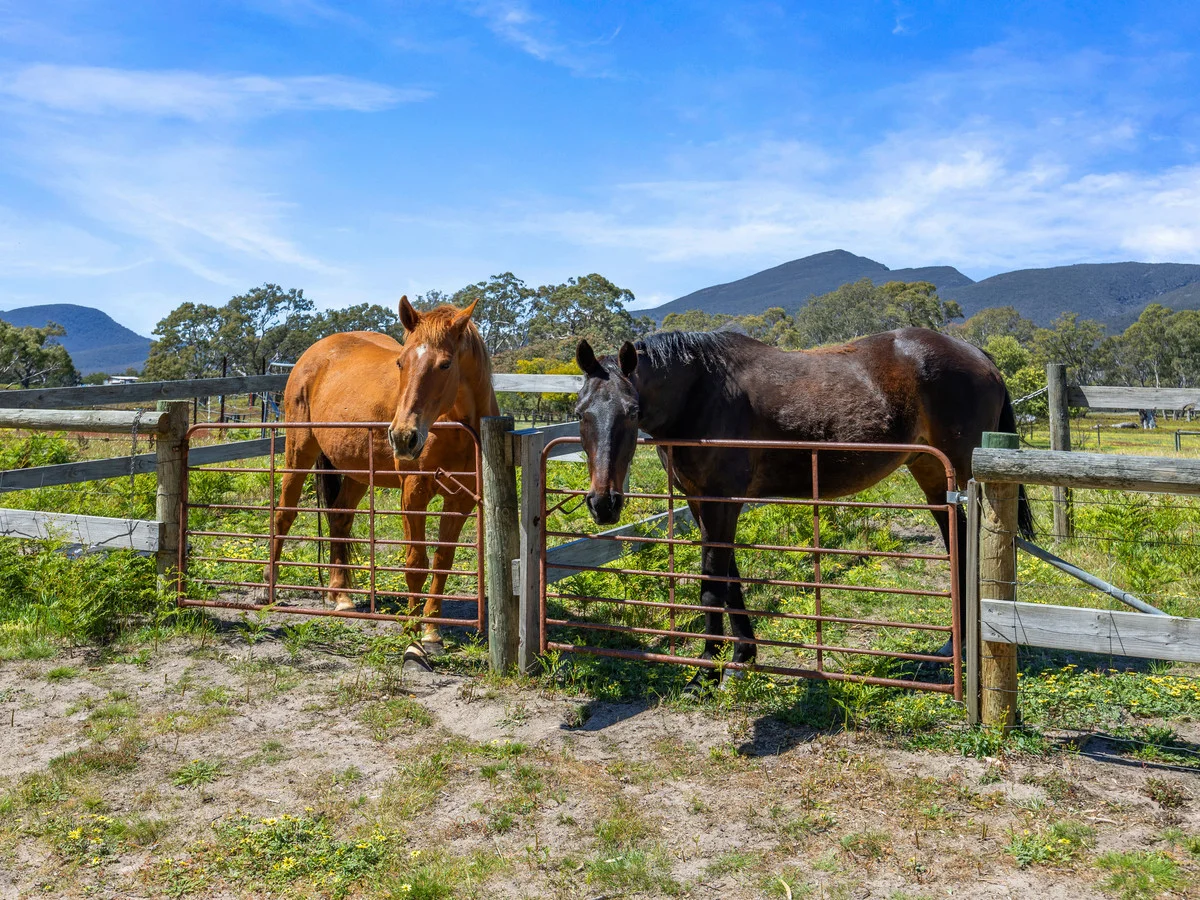 Additional image 21 of 857 Bundol Road, Victoria Valley VIC 3294
