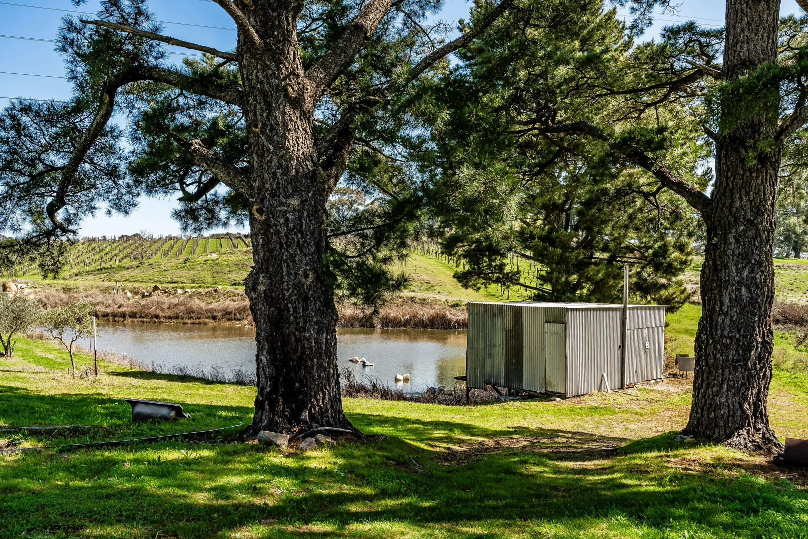 Additional image 17 of 144 Murray Road, Paracombe SA 5132