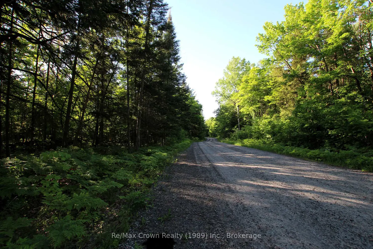 Additional image 8 of 453 Pilgers Road