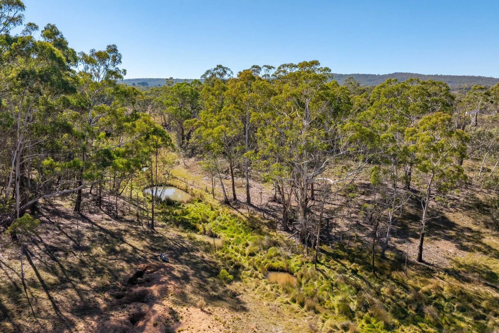 Additional image 27 of 91 Rosehill Road, Bombala NSW 2632
