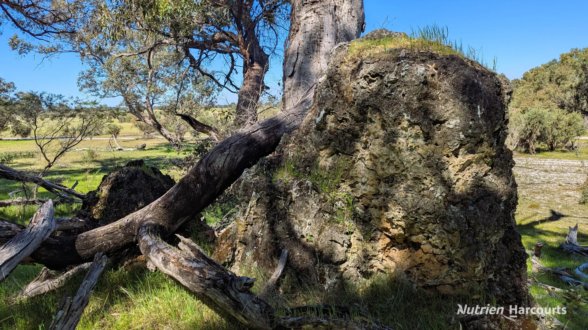 Additional image 8 of Lot 51 Millbank Road, Cowalla WA 6503