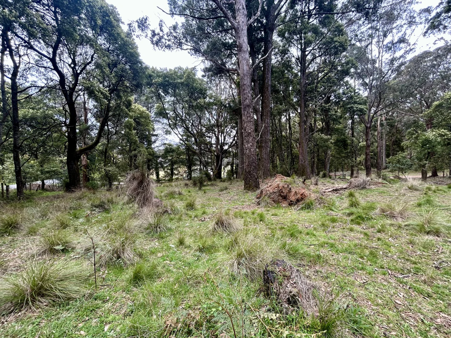 Additional image 10 of 975 Daylesford-Trentham Road, Bullarto VIC 3461