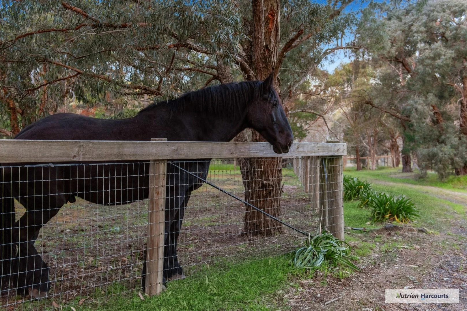 Additional image 21 of 11 Whalan Court, Pyalong VIC 3521
