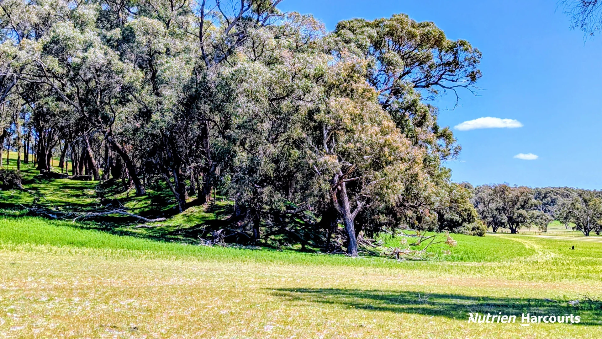 Additional image 18 of Lot 53 Cowalla Road, Cowalla WA 6503