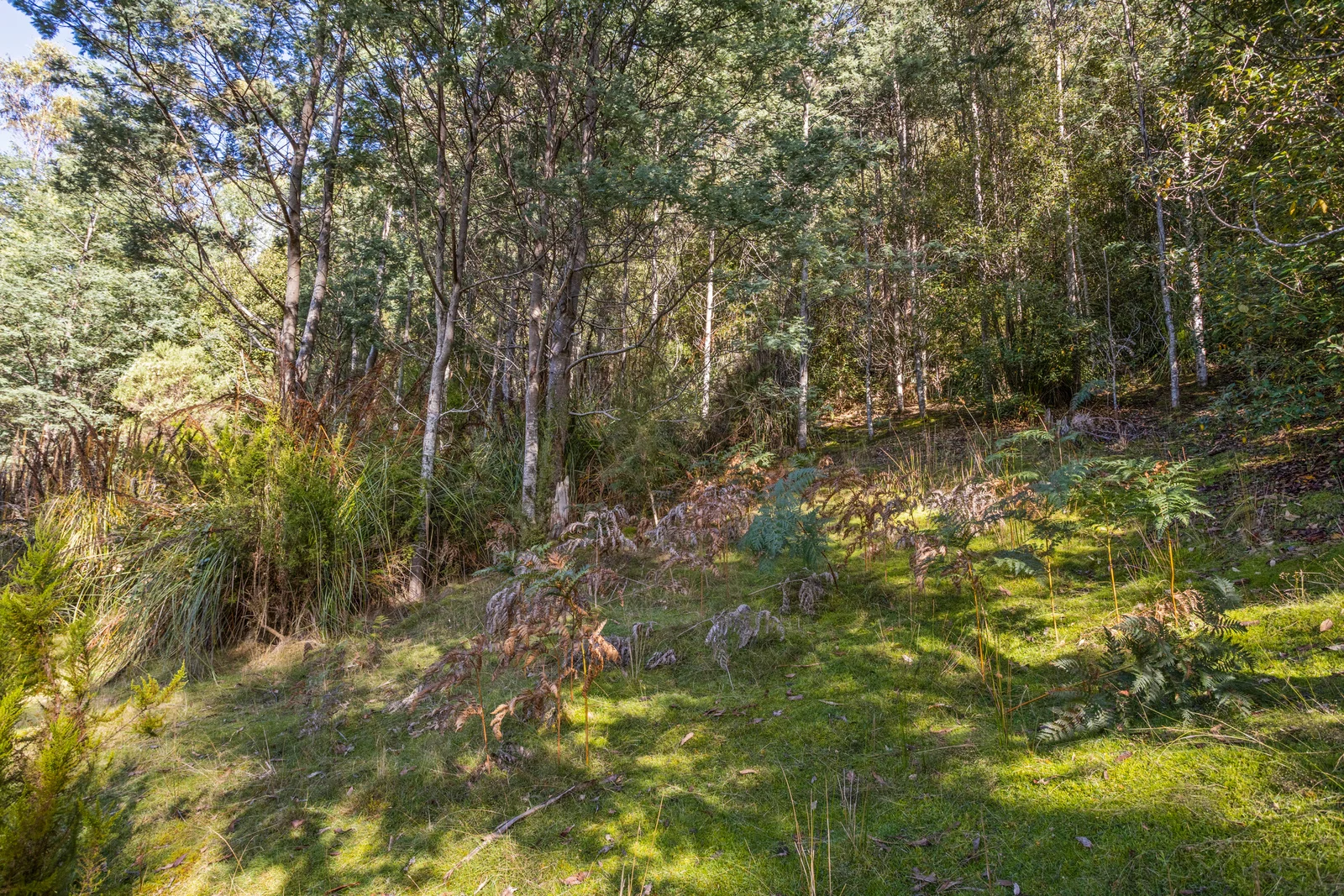 Additional image 15 of 1 Smiths Road, Nicholls Rivulet TAS 7112