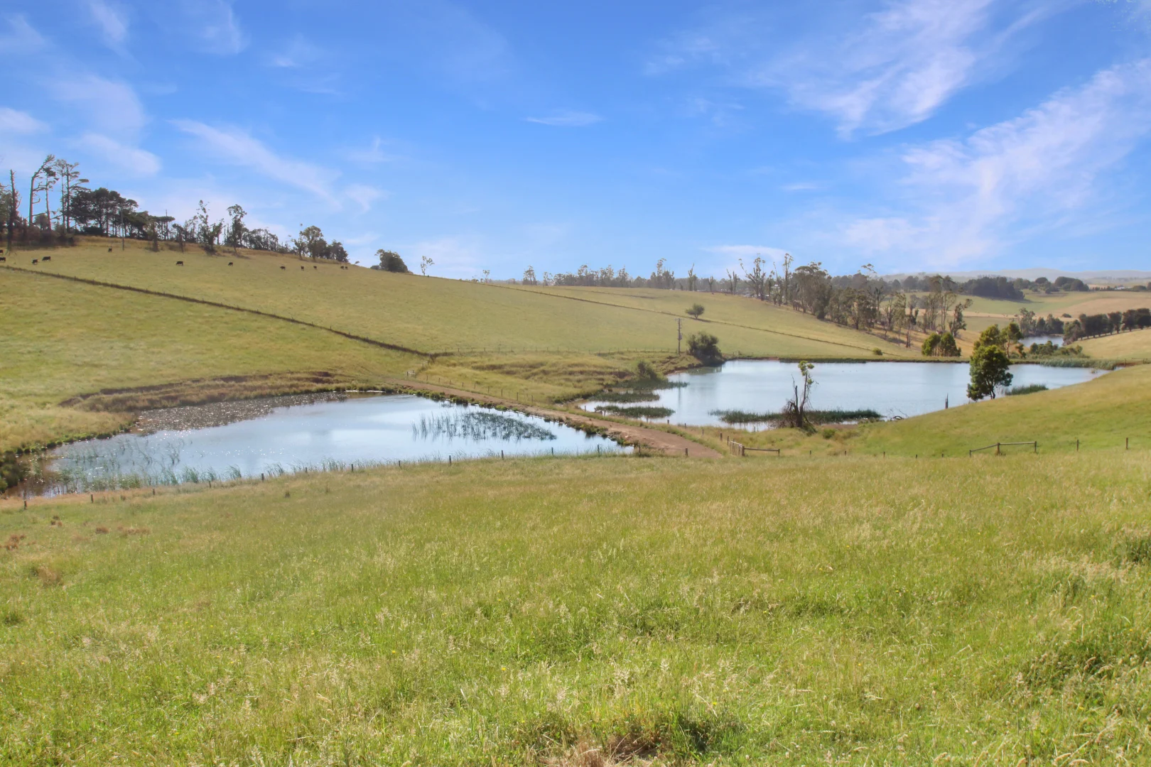 Additional image 4 of 3233 Strzelecki Highway, Mirboo North VIC 3871