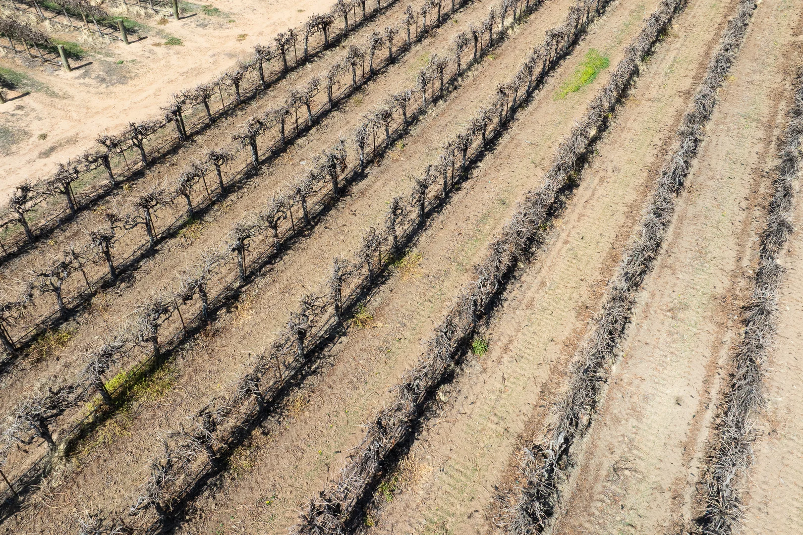 Additional image 39 of 41 Wutke Road, Cobdogla SA 5346