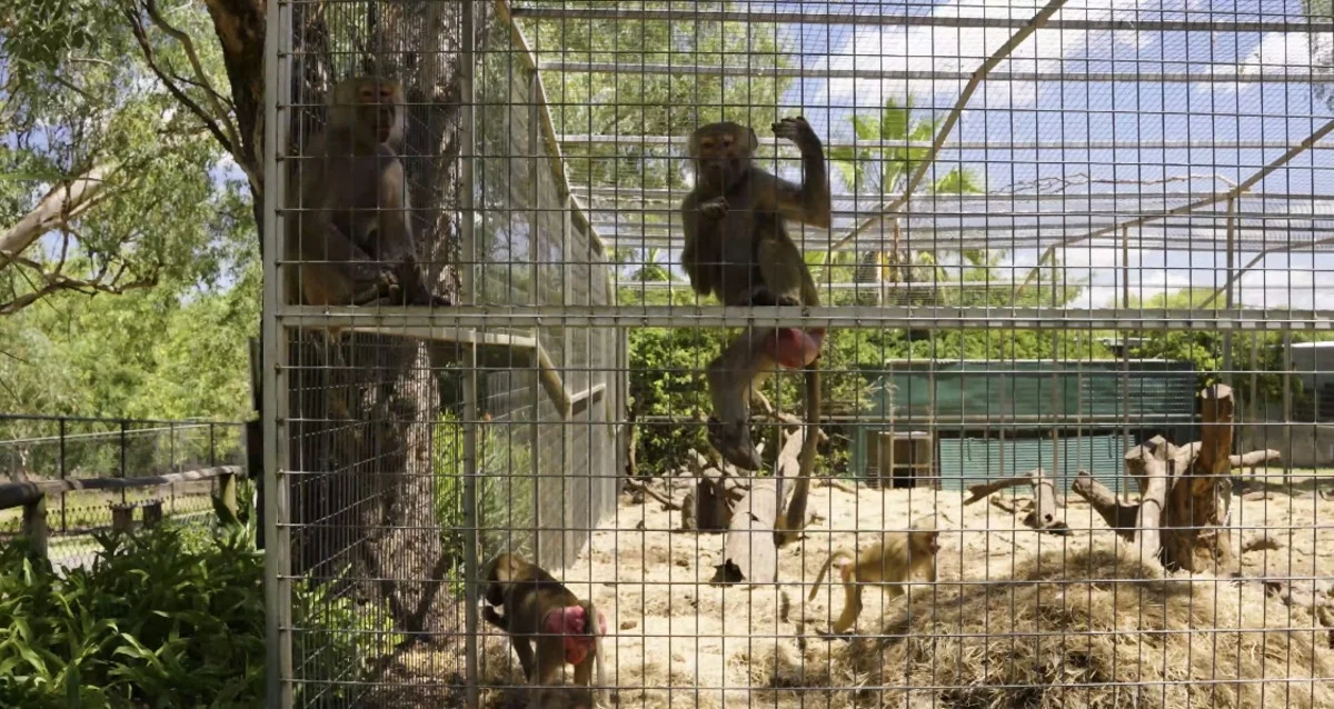 Additional image 20 of 21 Baines Road, Pilton QLD 4361